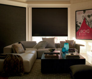 room darkening shades in home theatre with light being blocked by window shades