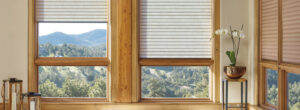 cellular energy efficient shades in beige fabric