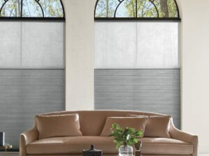 gray and white dual cellular shades