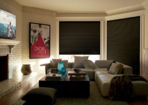 blackout cellular shades in media room