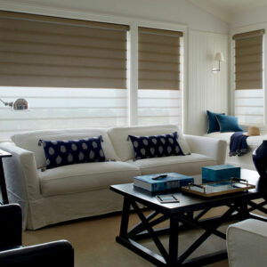 double shades with opaque and translucent shades