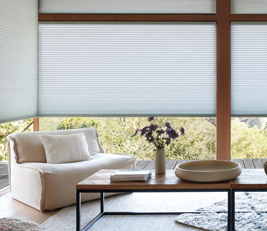 Duette honeycomb shades on large windows in Omaha NE