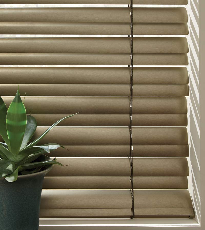 detail of horizontal blinds with cordless feature next to house plant