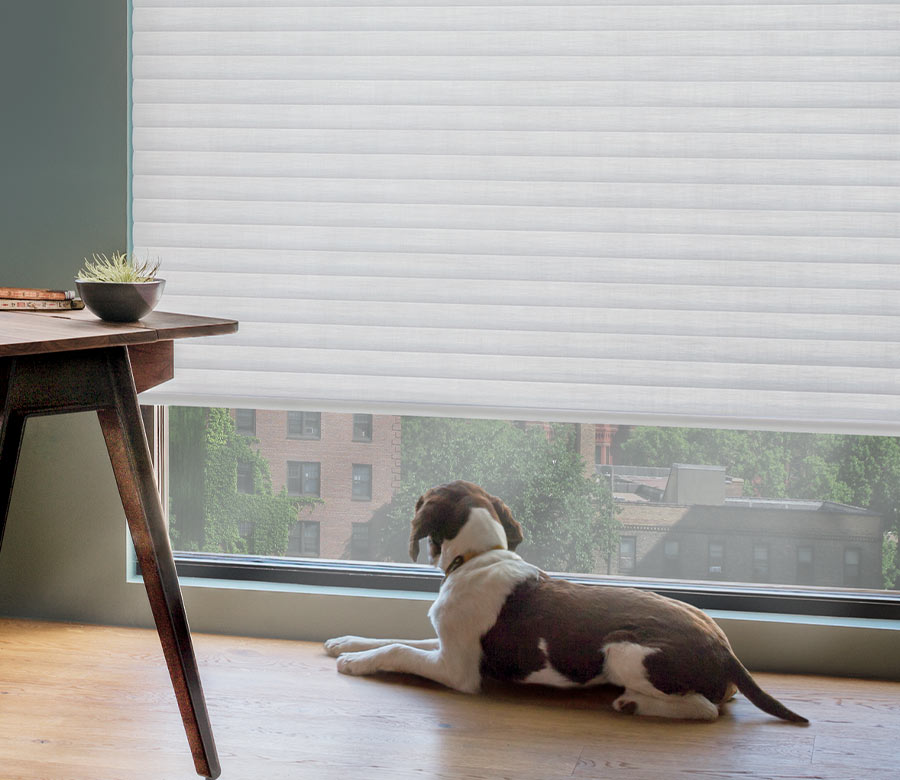 cordless blinds for child safety and pet safety child safe blinds