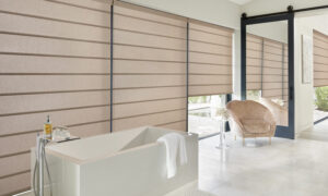 Hunter Douglas roman shades in Omaha bathroom