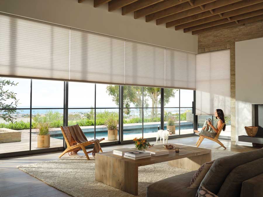 living room in Omaha with black trim windows, covered with honeycomb shades