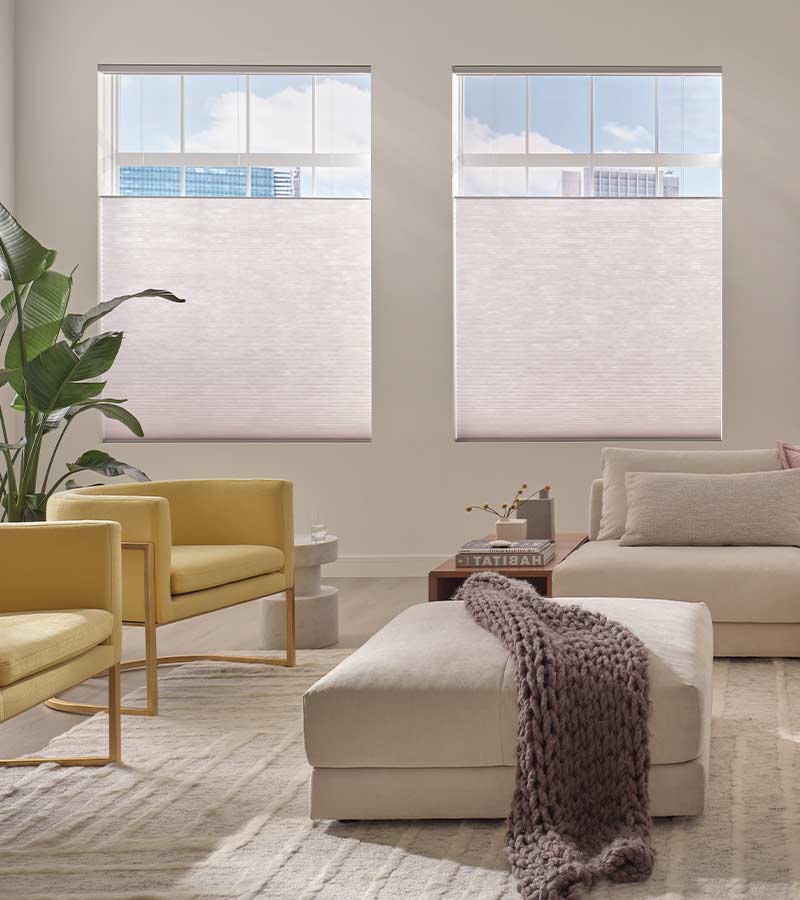 soft orchid color window shades in contemporary living room yellow side chairs and large plant