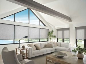 large windows with black trim in living room with gray roller shades